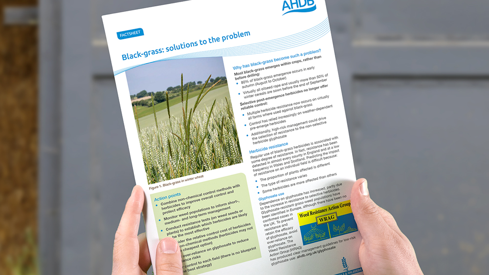 Black-grass solutions to the problem publication